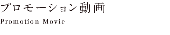 �v�����[�V��������
